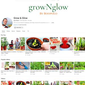 YouTube Grow 'N Glow